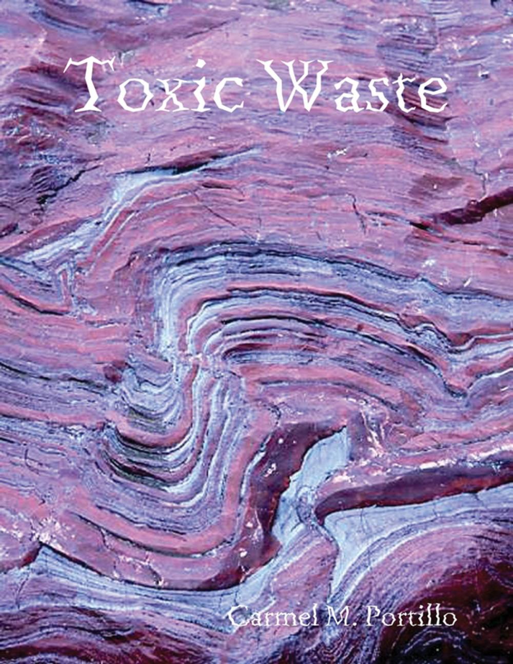 Big bigCover of Toxic Waste