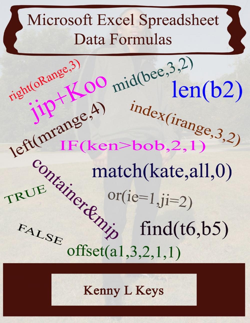 Big bigCover of Microsoft Excel Spreadsheet Data Formulas