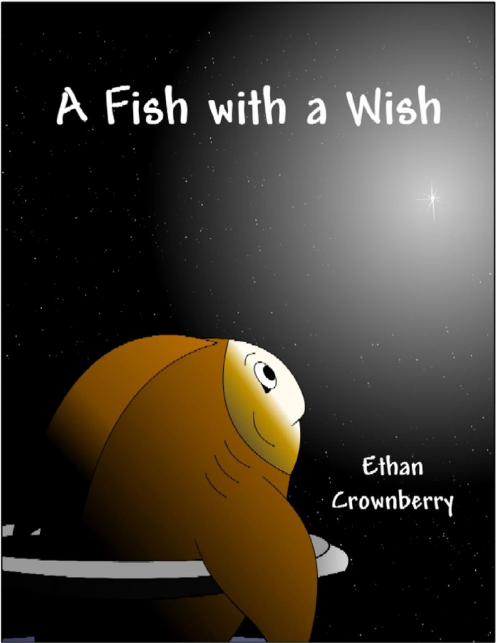 Big bigCover of A Fish with a Wish