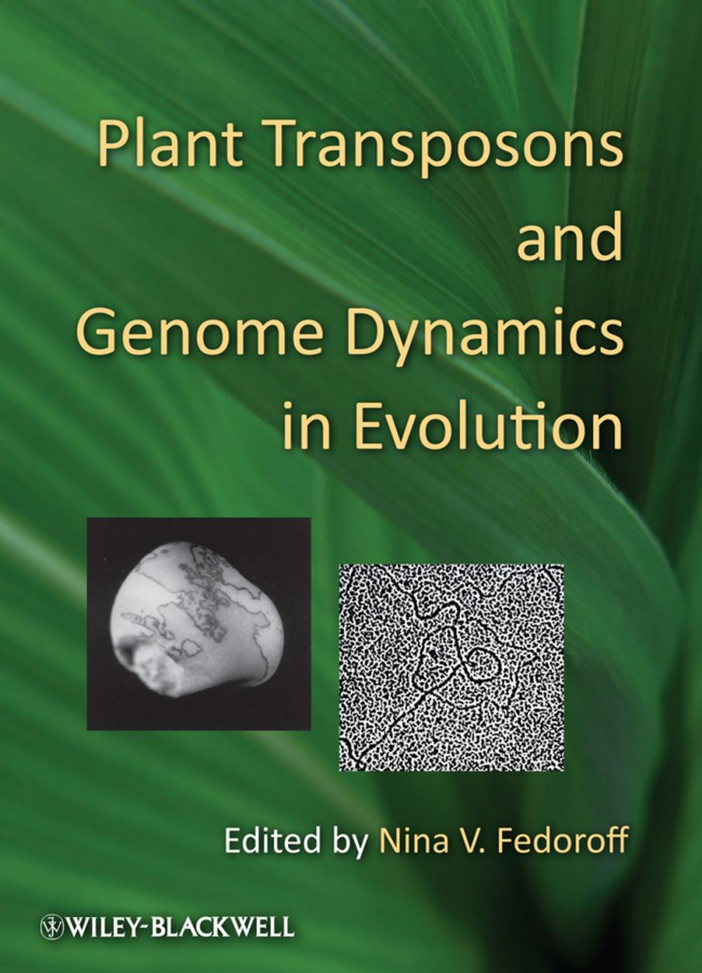 Big bigCover of Plant Transposons and Genome Dynamics in Evolution