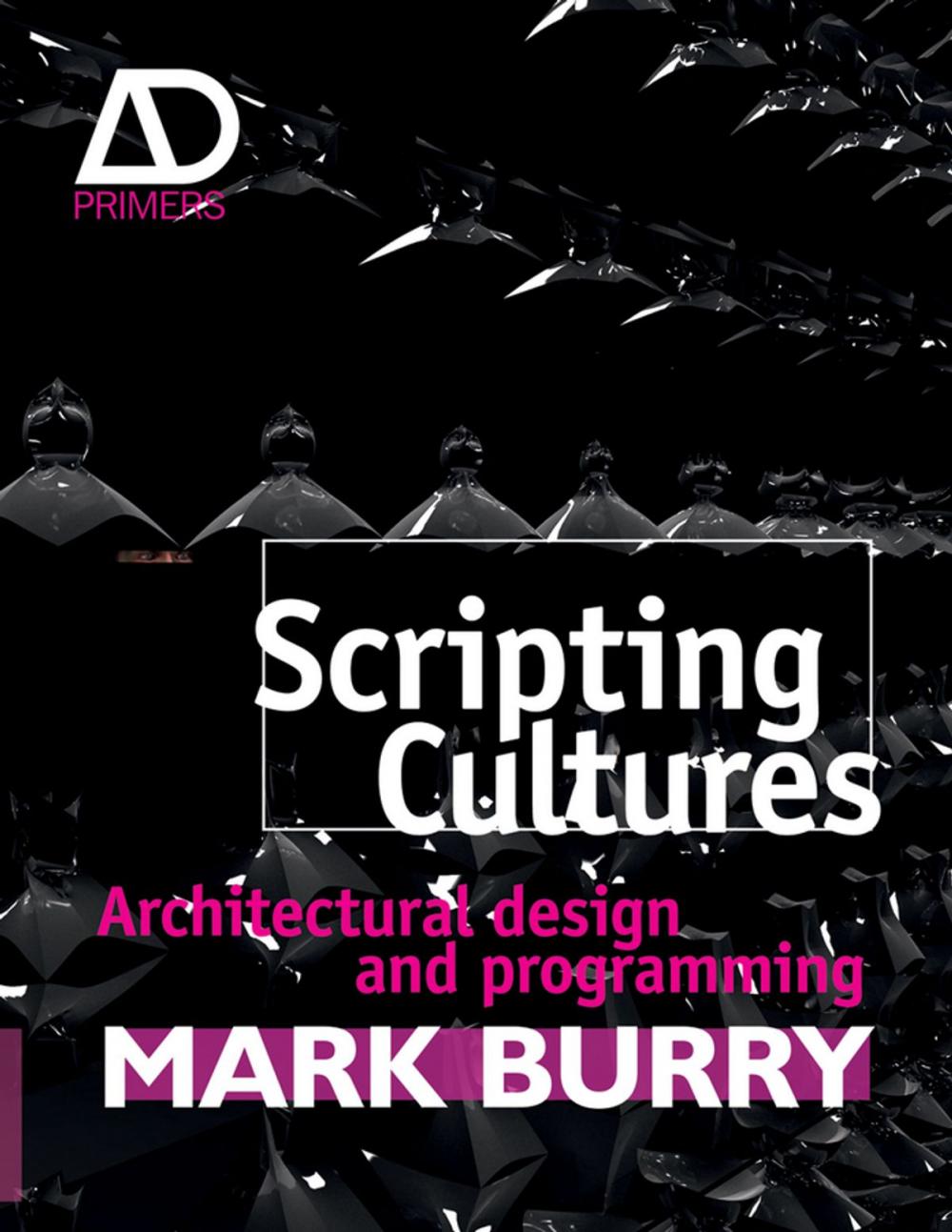 Big bigCover of Scripting Cultures