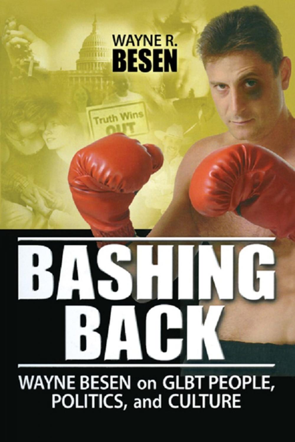 Big bigCover of Bashing Back