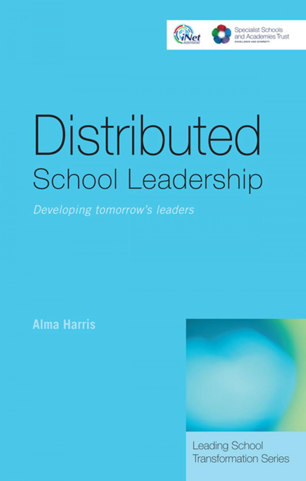 Big bigCover of Distributed School Leadership