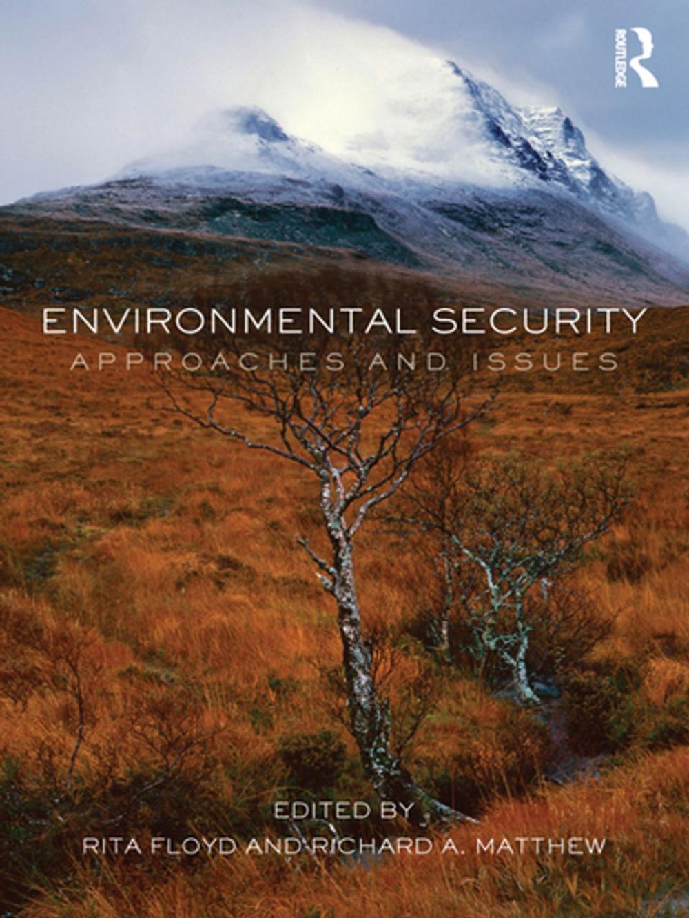 Big bigCover of Environmental Security