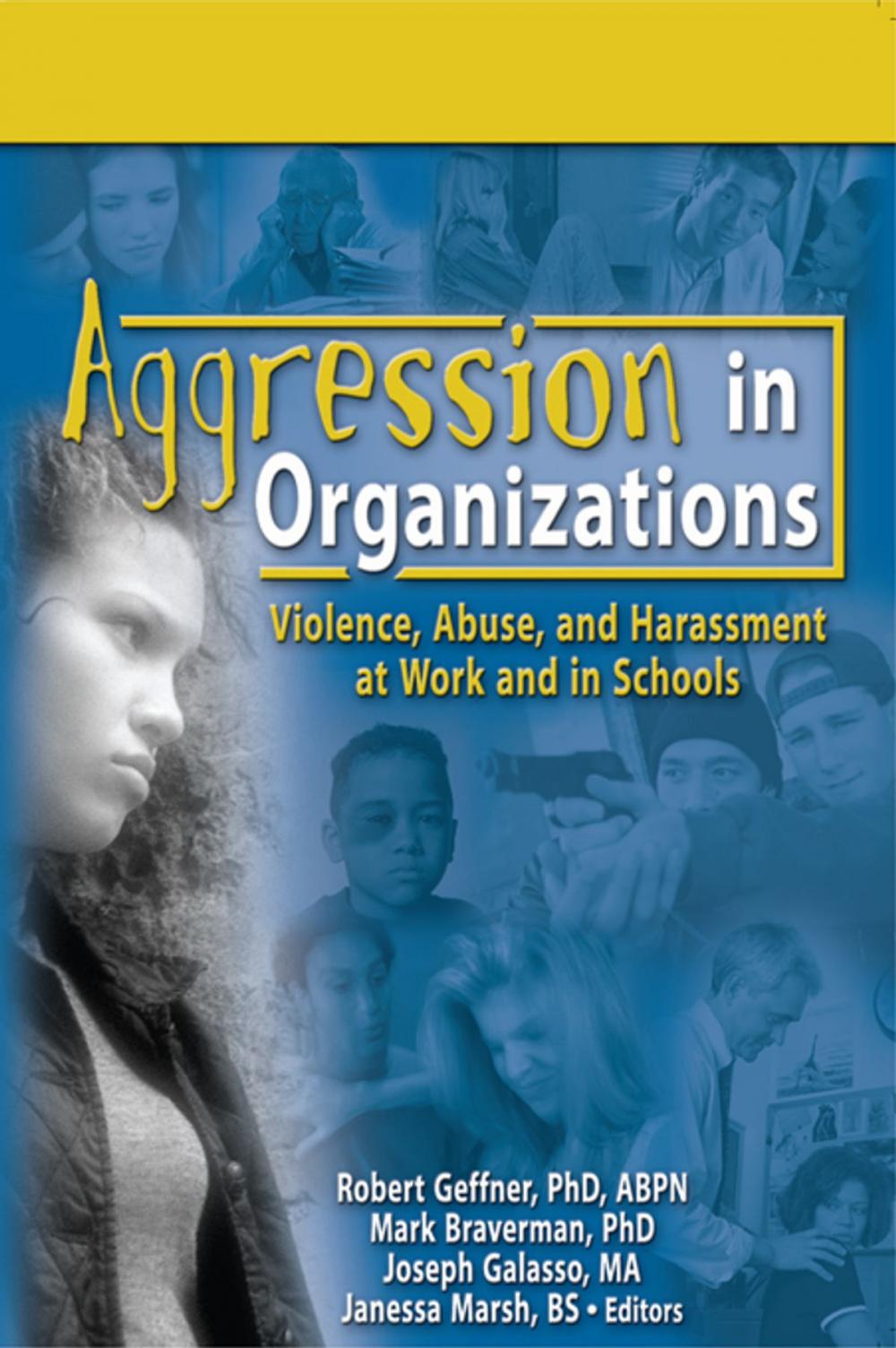 Big bigCover of Aggression in Organizations