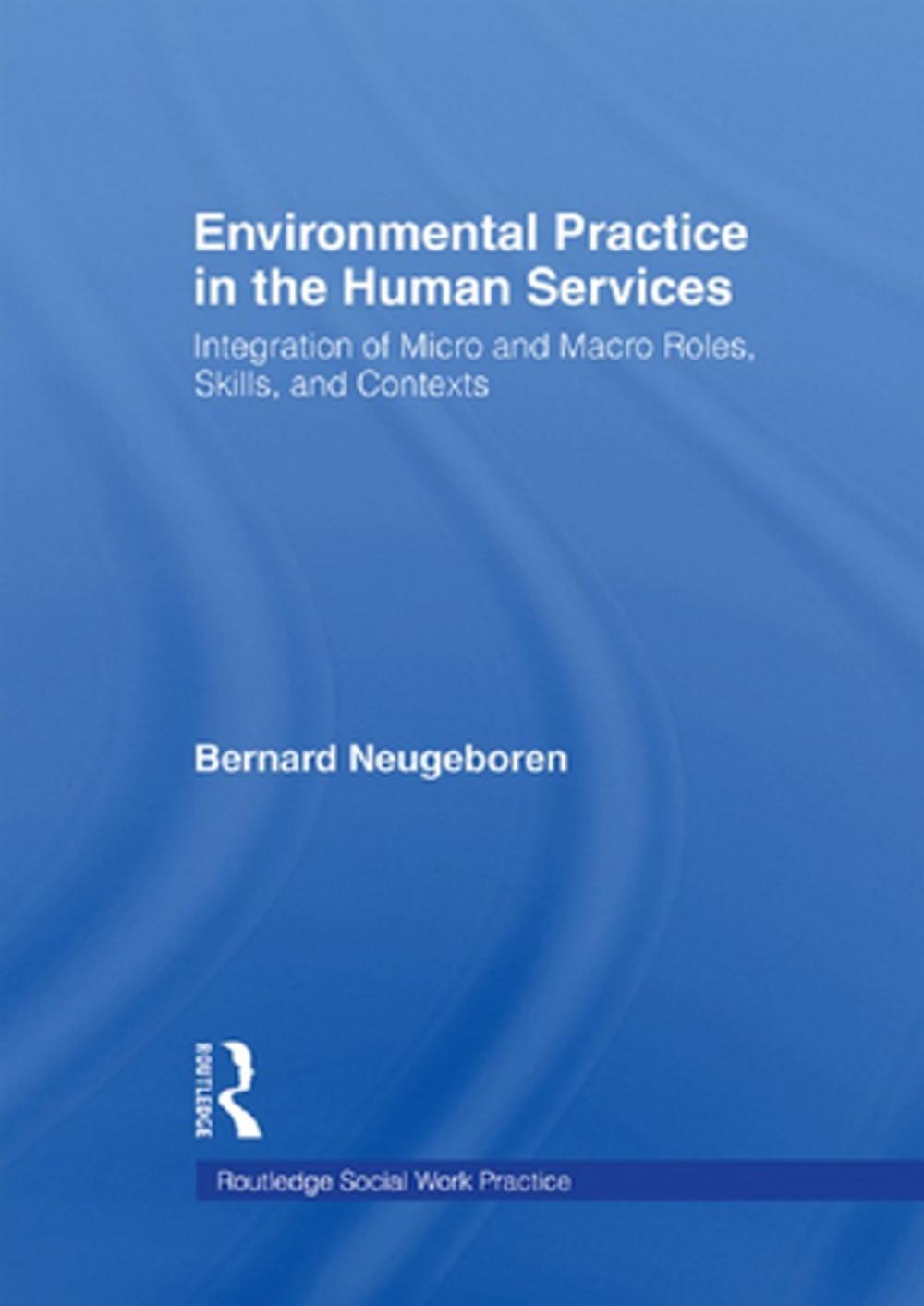 Big bigCover of Environmental Practice in the Human Services