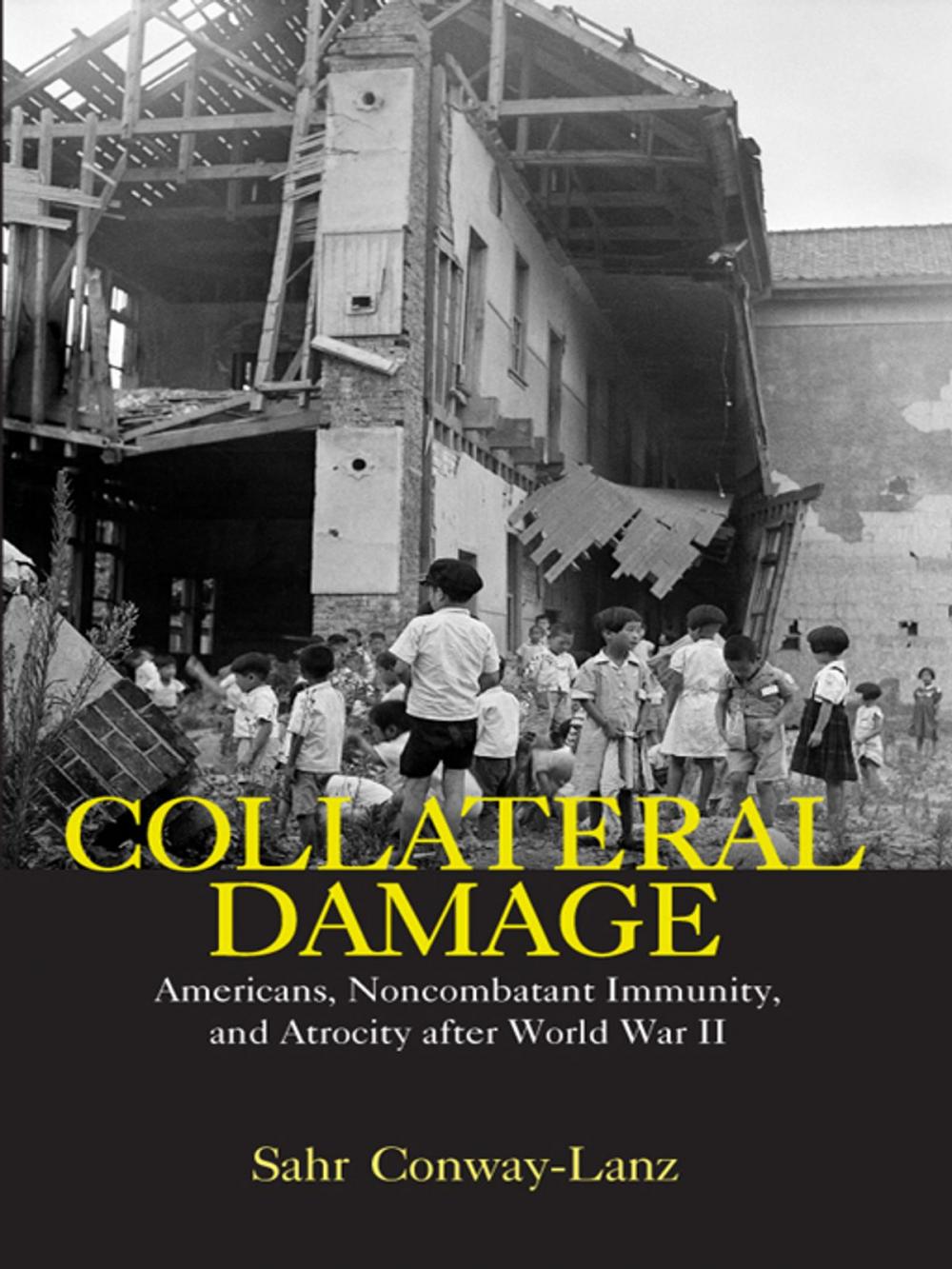 Big bigCover of Collateral Damage