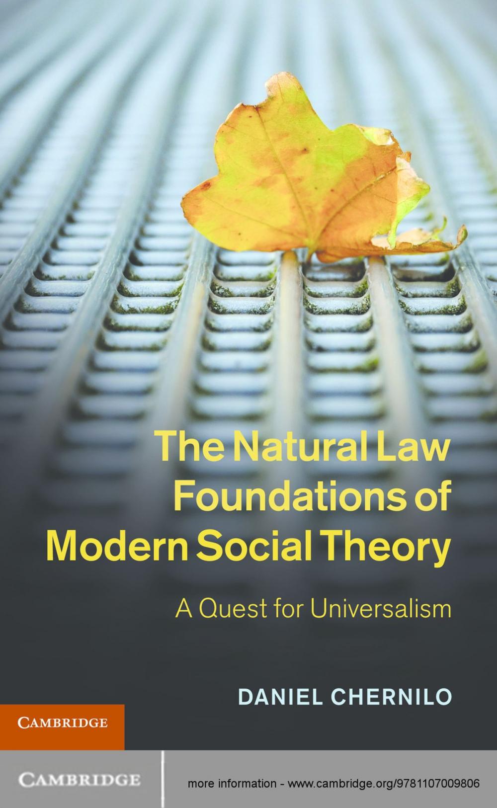 Big bigCover of The Natural Law Foundations of Modern Social Theory