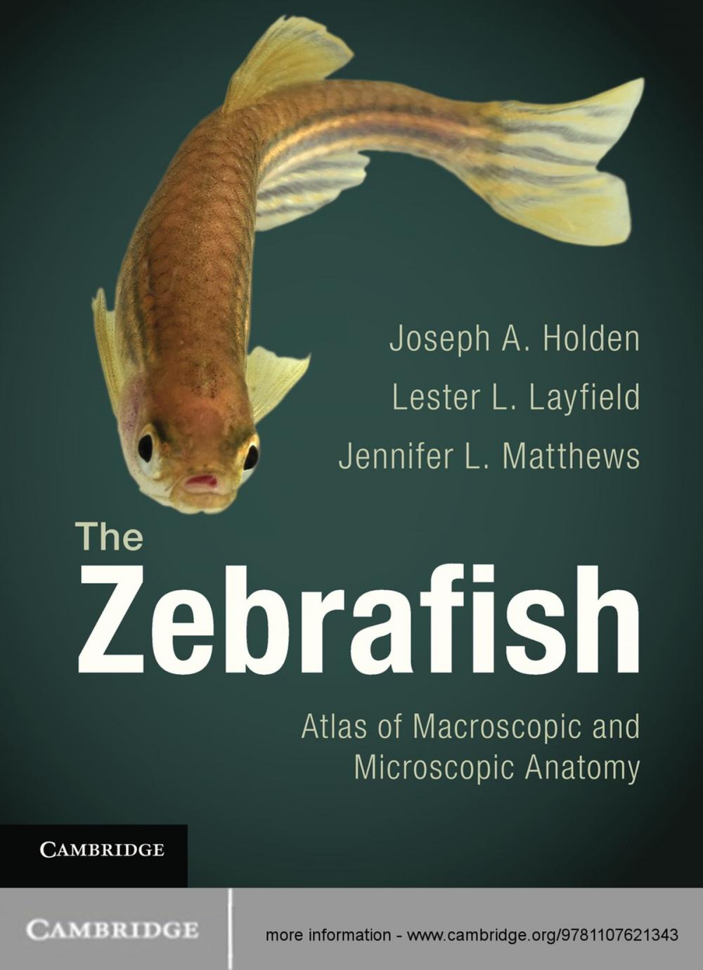 Big bigCover of The Zebrafish