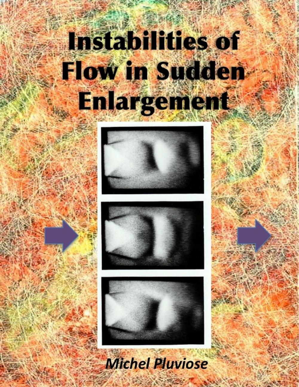 Big bigCover of Instabilities of Flow in Sudden Enlargement