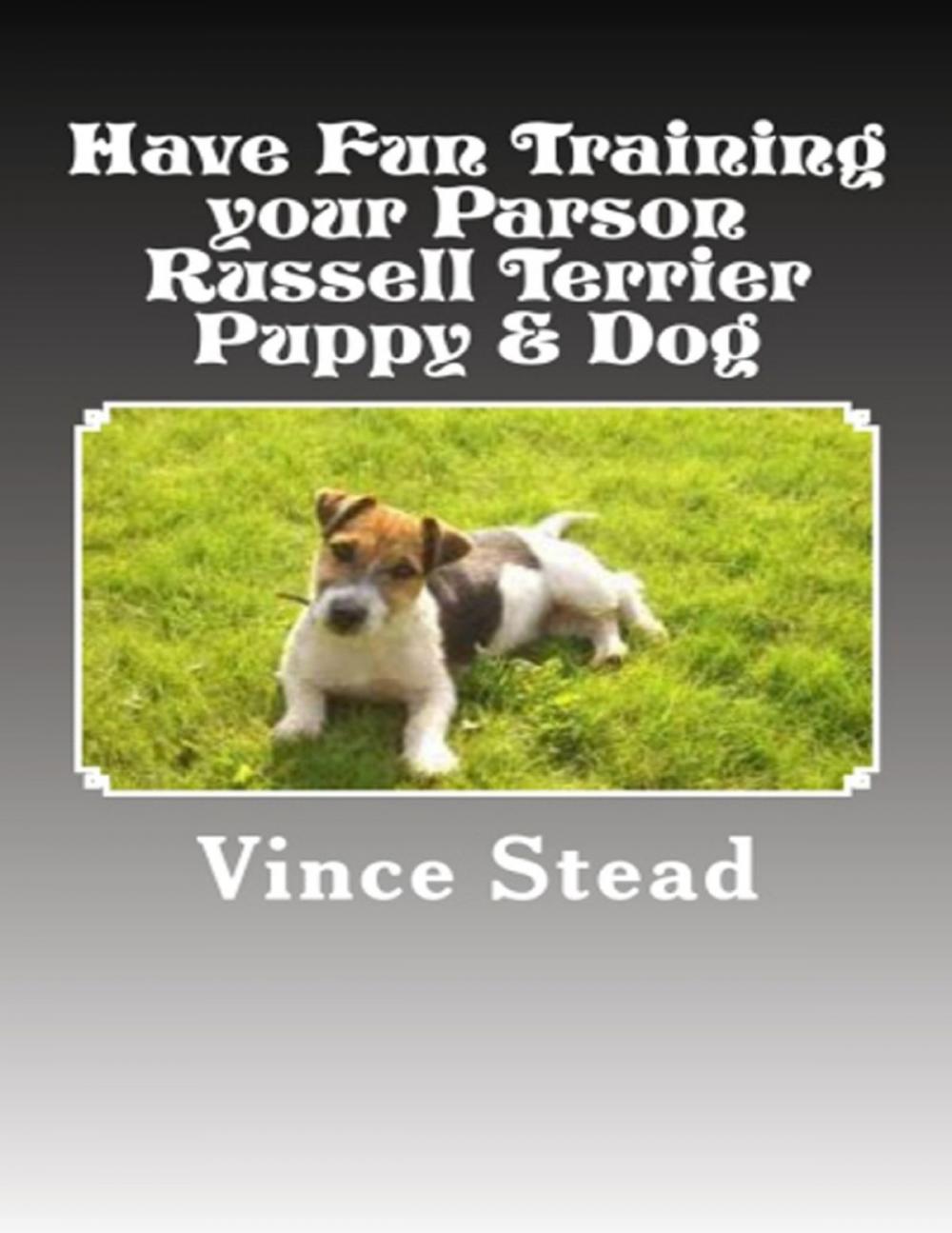 Big bigCover of Have Fun Training Your Parson Russell Terrier Puppy & Dog