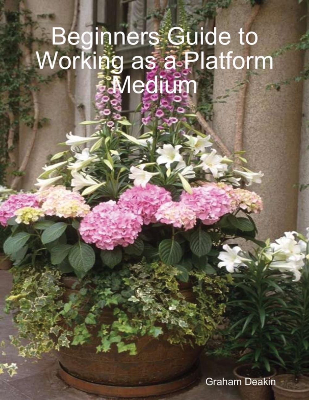 Big bigCover of Beginners Guide to Working as a Platform Medium