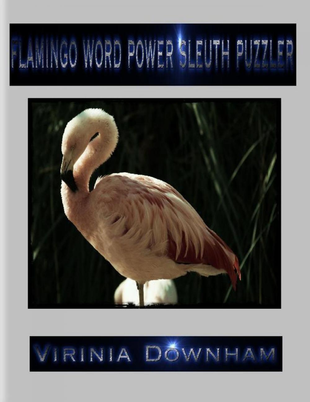 Big bigCover of Flamingo Word Power Sleuth Puzzler