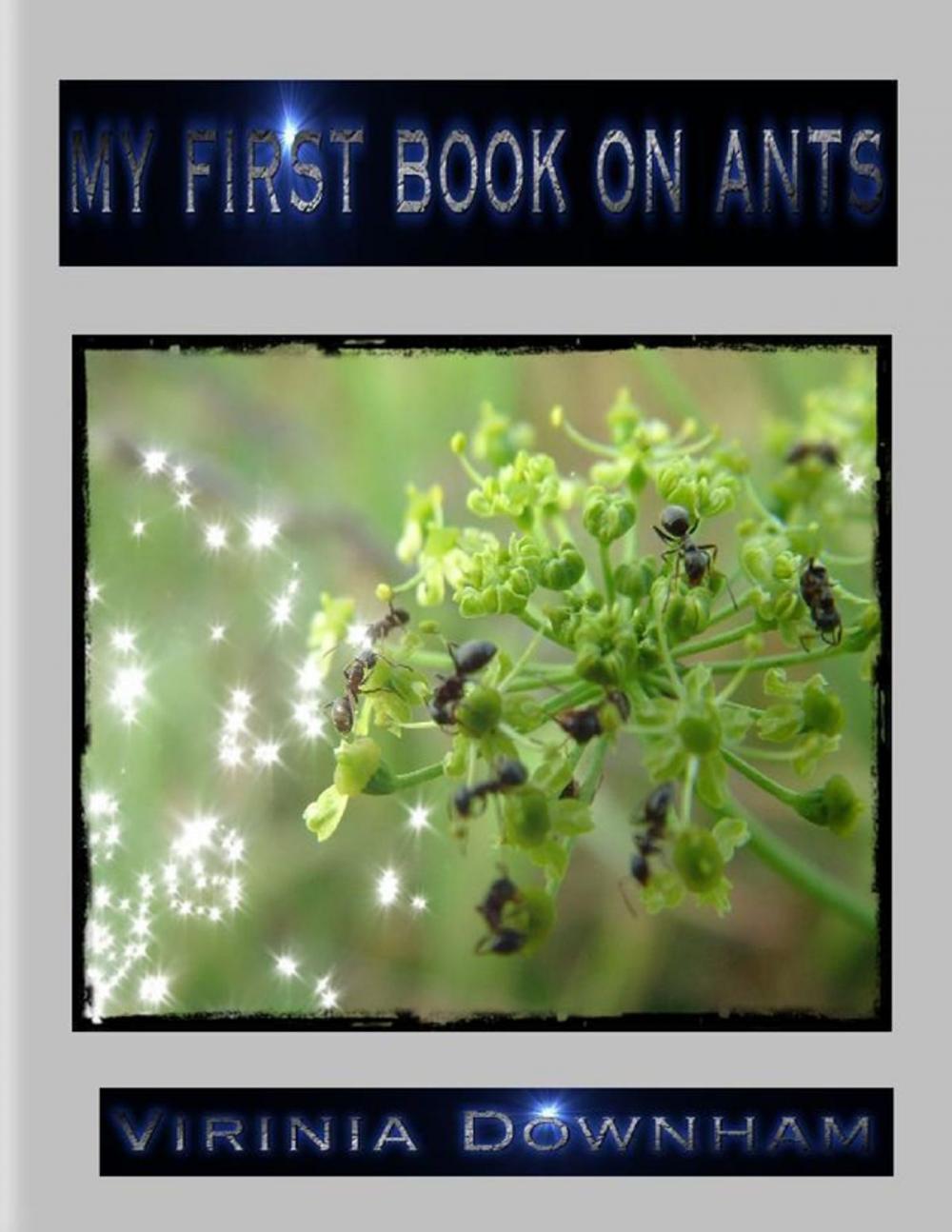 Big bigCover of My First Book on Ants