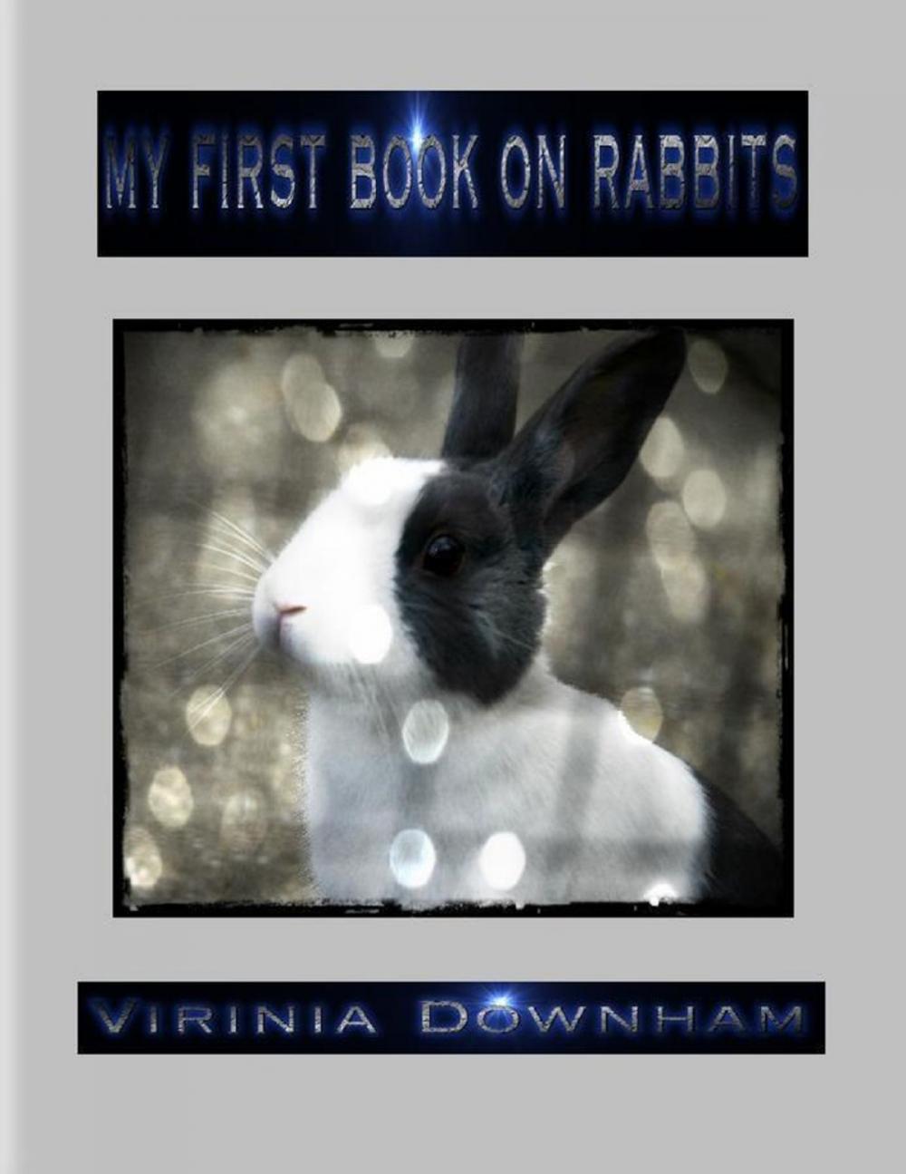 Big bigCover of My First Book on Rabbits