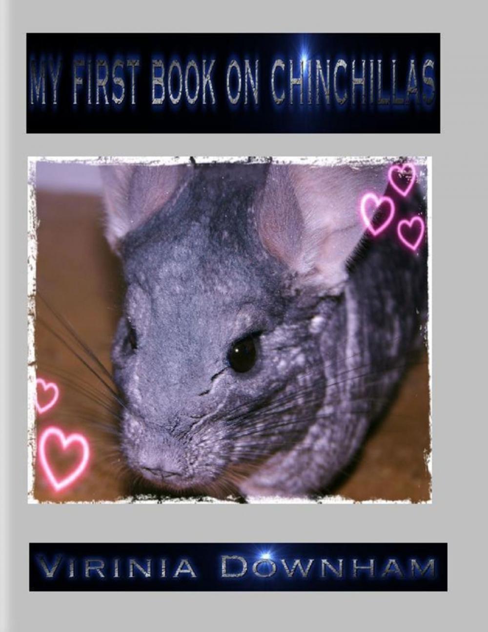 Big bigCover of My First Book on Chinchillas