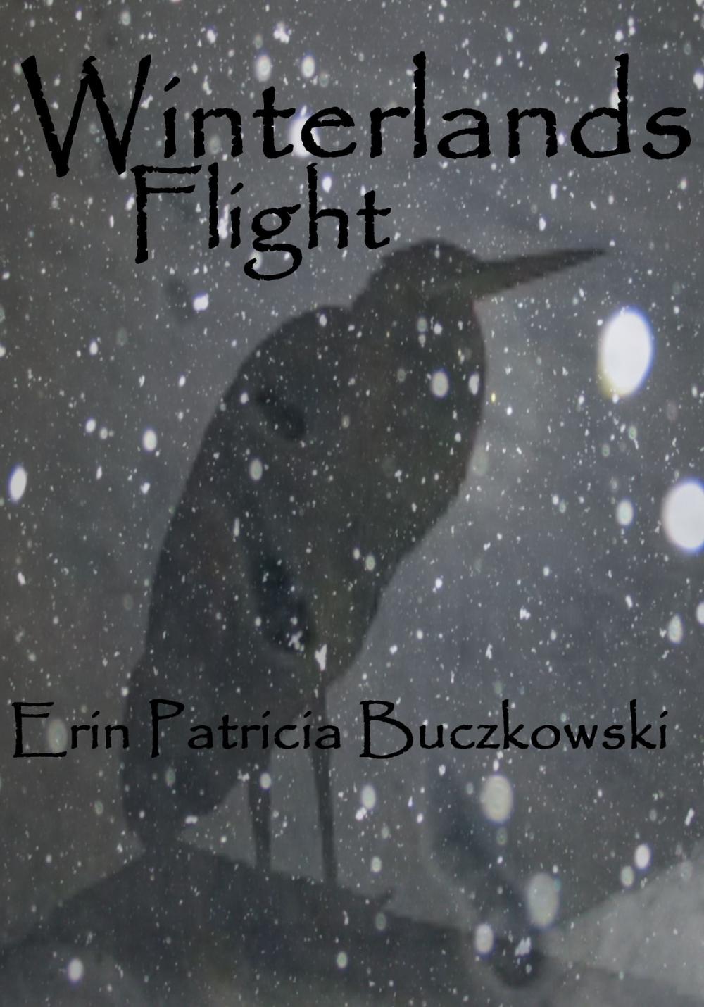 Big bigCover of Winterlands Flight