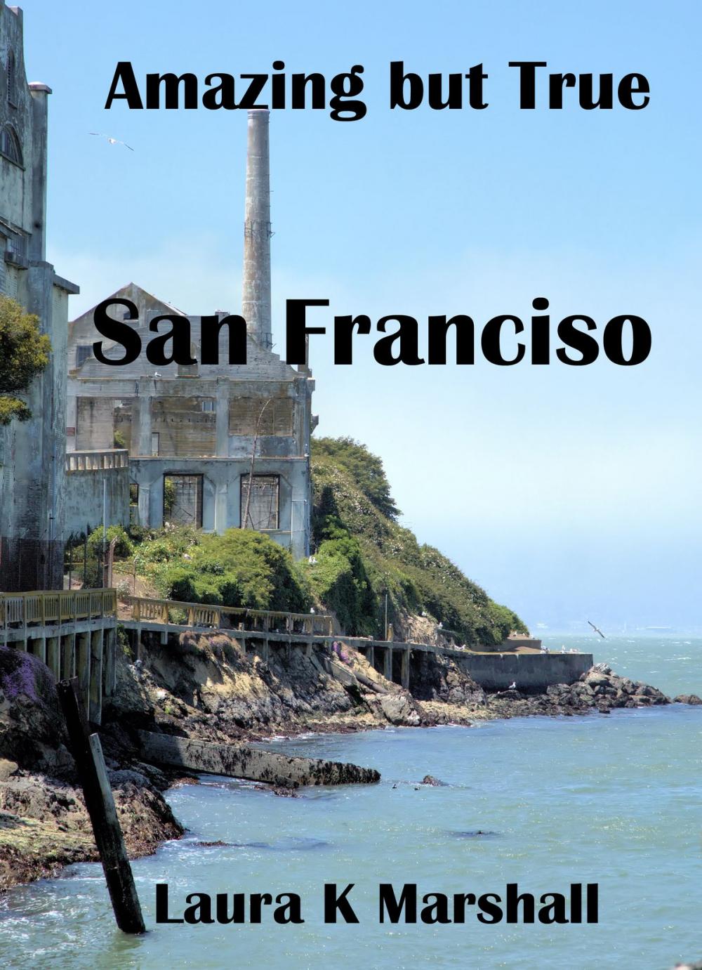 Big bigCover of Amazing but True: San Francisco Book Three