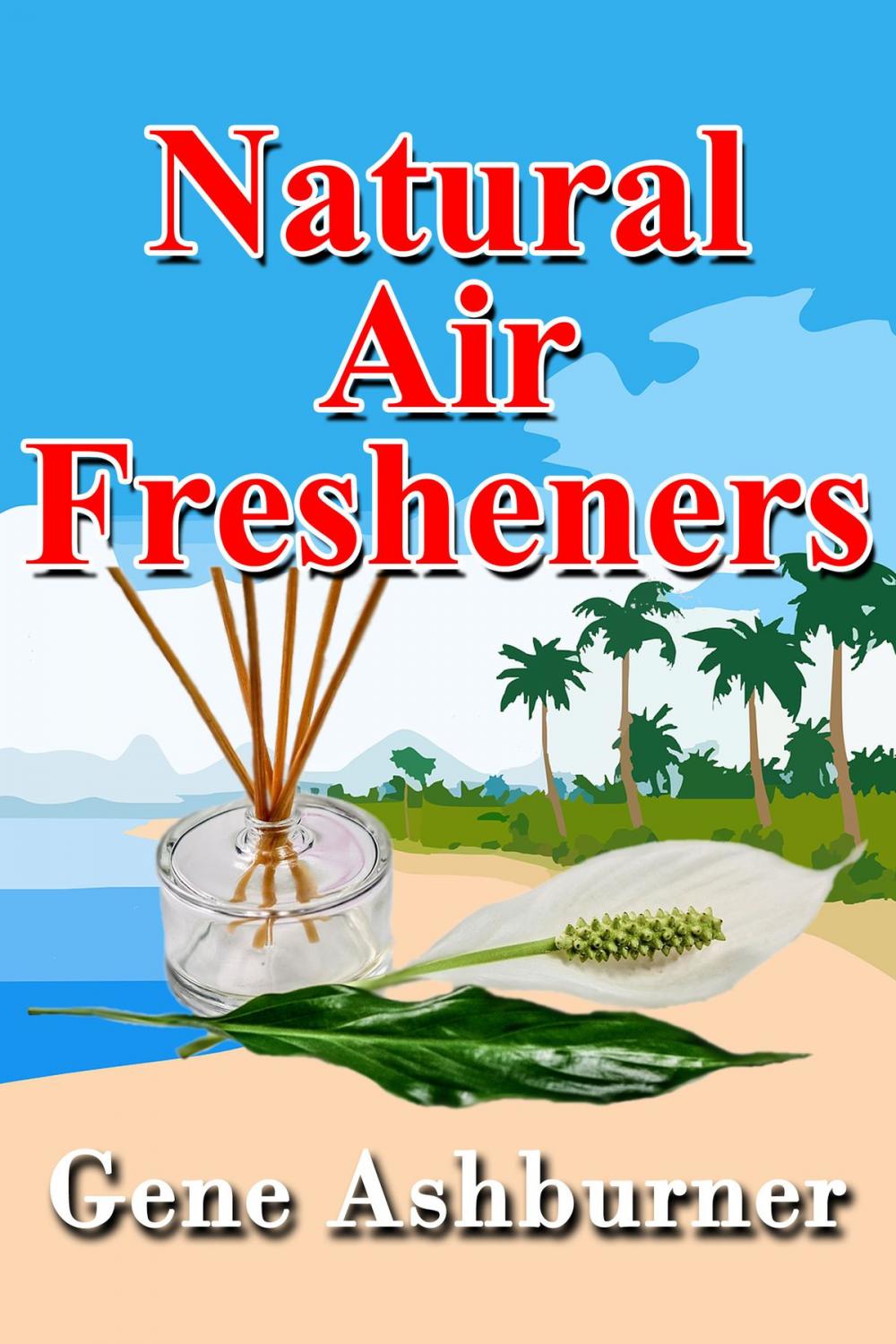 Big bigCover of Natural Air Fresheners