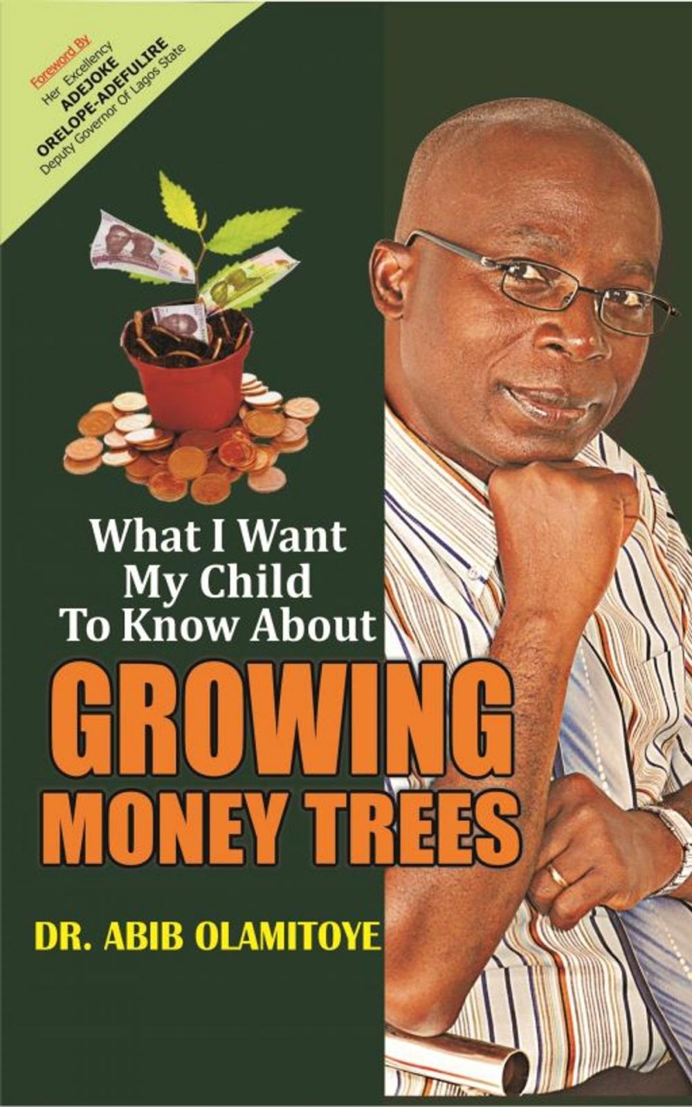 Big bigCover of What l want my child to know about Growing Money Trees