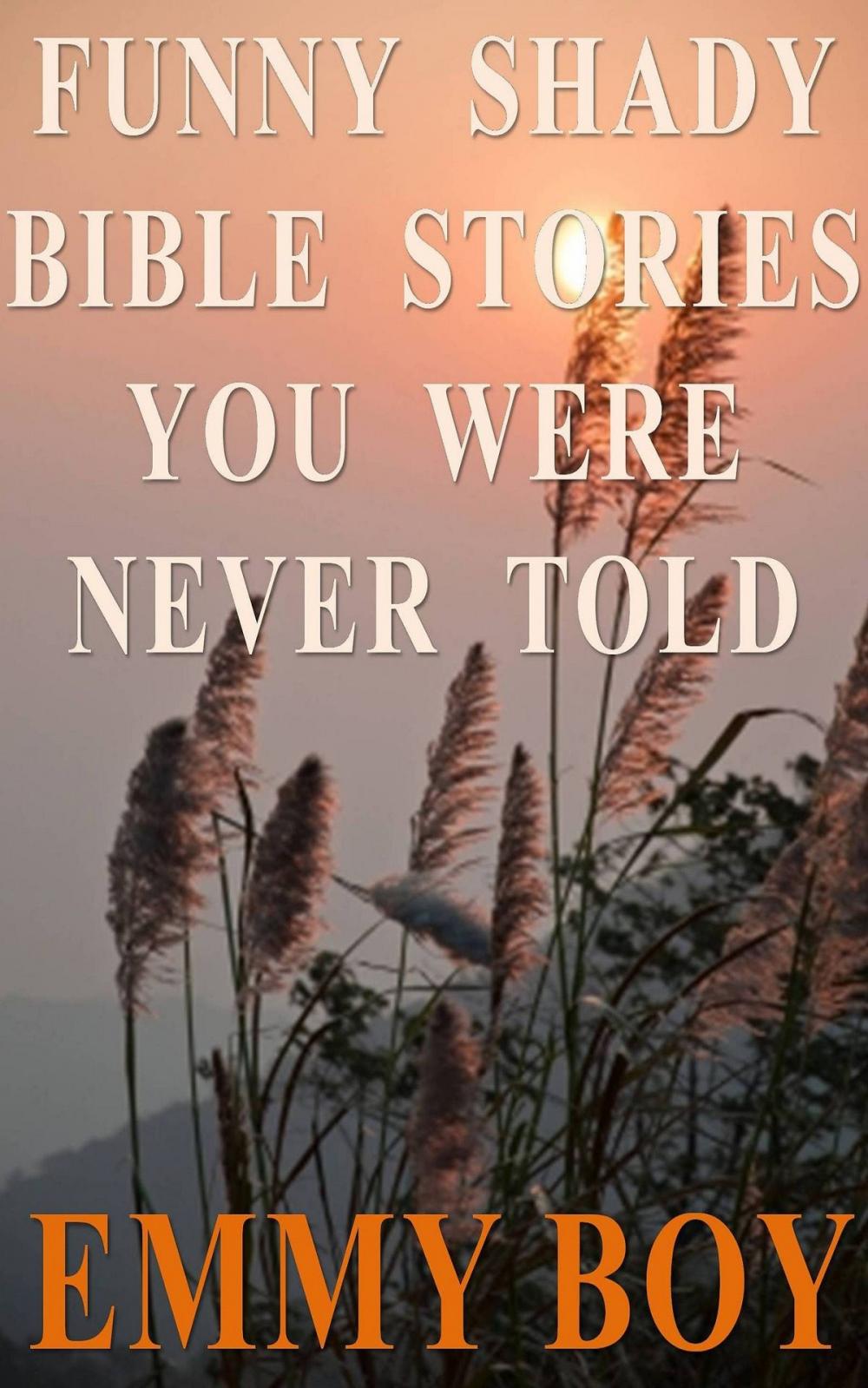 Big bigCover of Funny Shady Bible Stories You Were Never Told