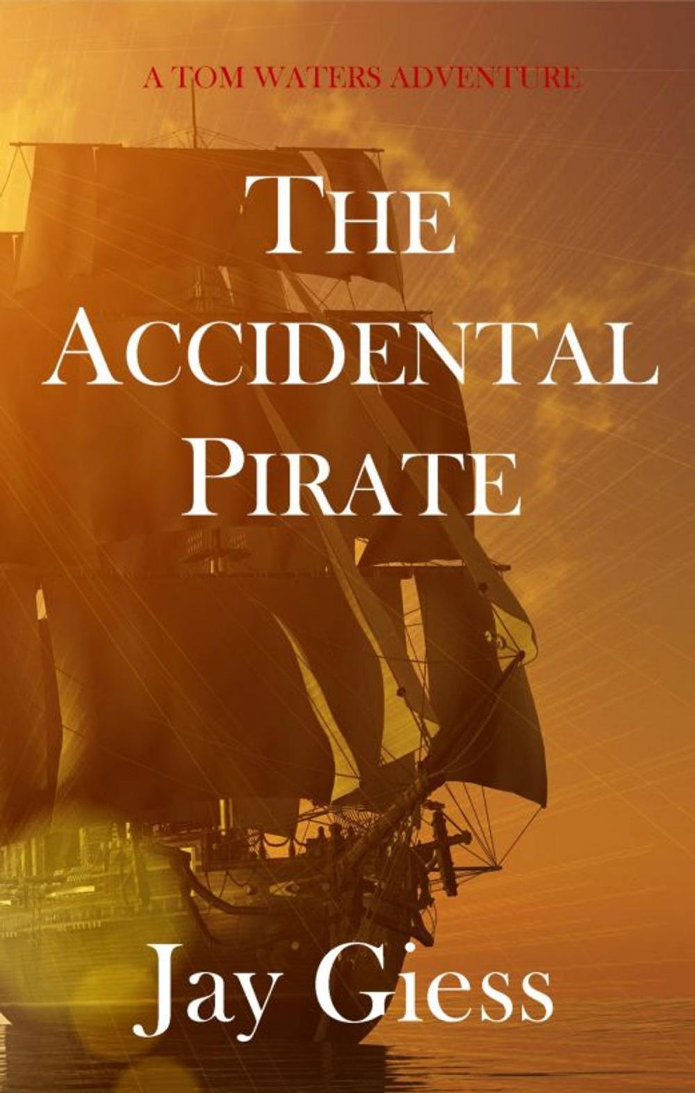 Big bigCover of The Accidental Pirate