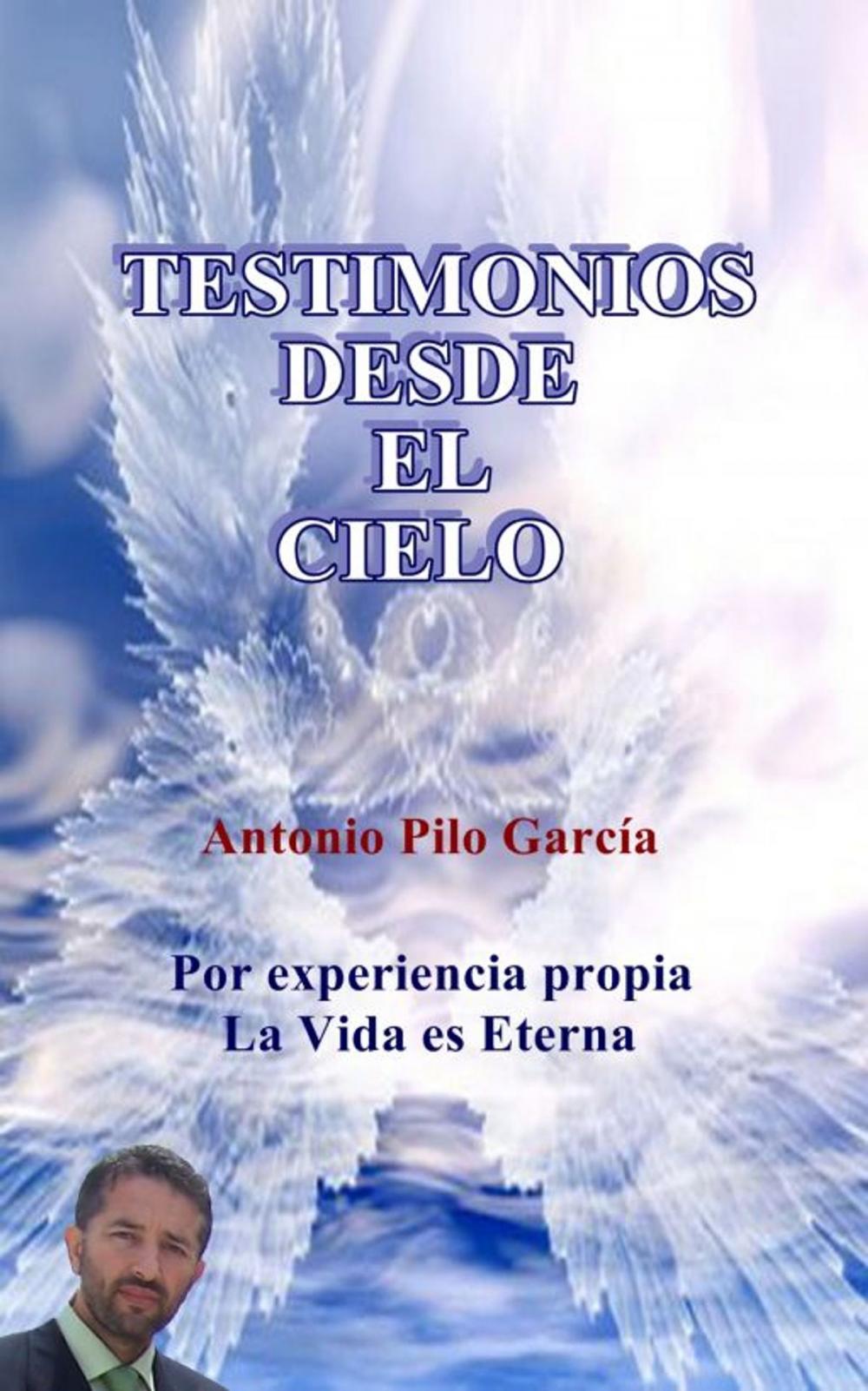 Big bigCover of Testimonios desde el Cielo