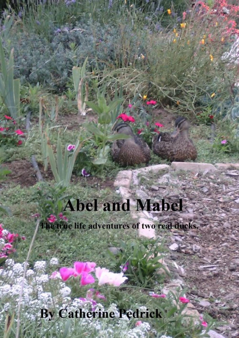 Big bigCover of Abel And Mabel