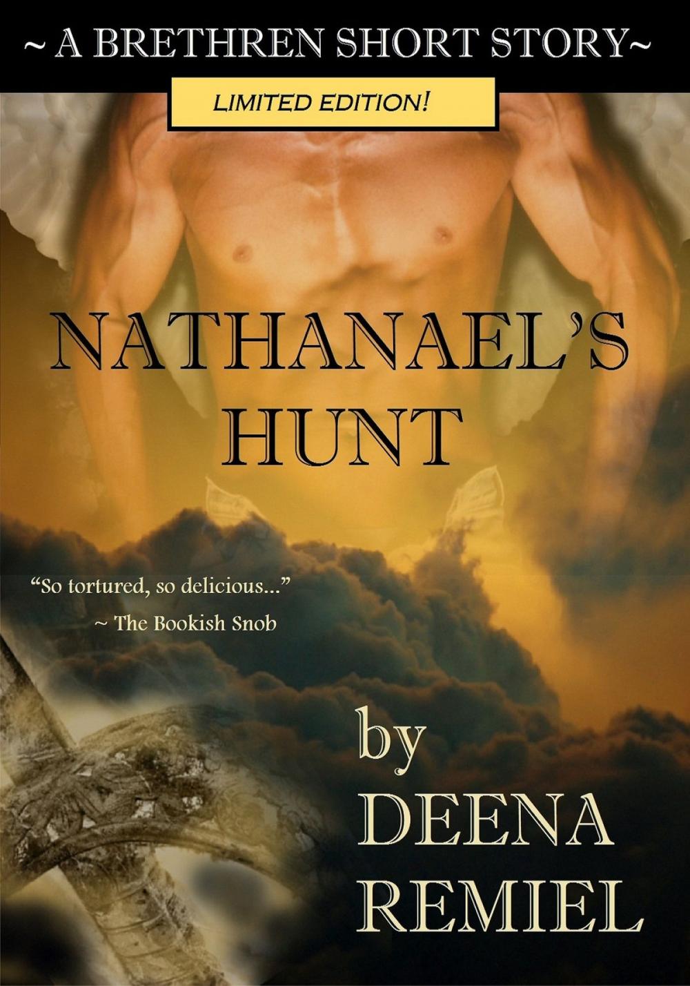 Big bigCover of Nathanael's Hunt (A Brethren Short Story)