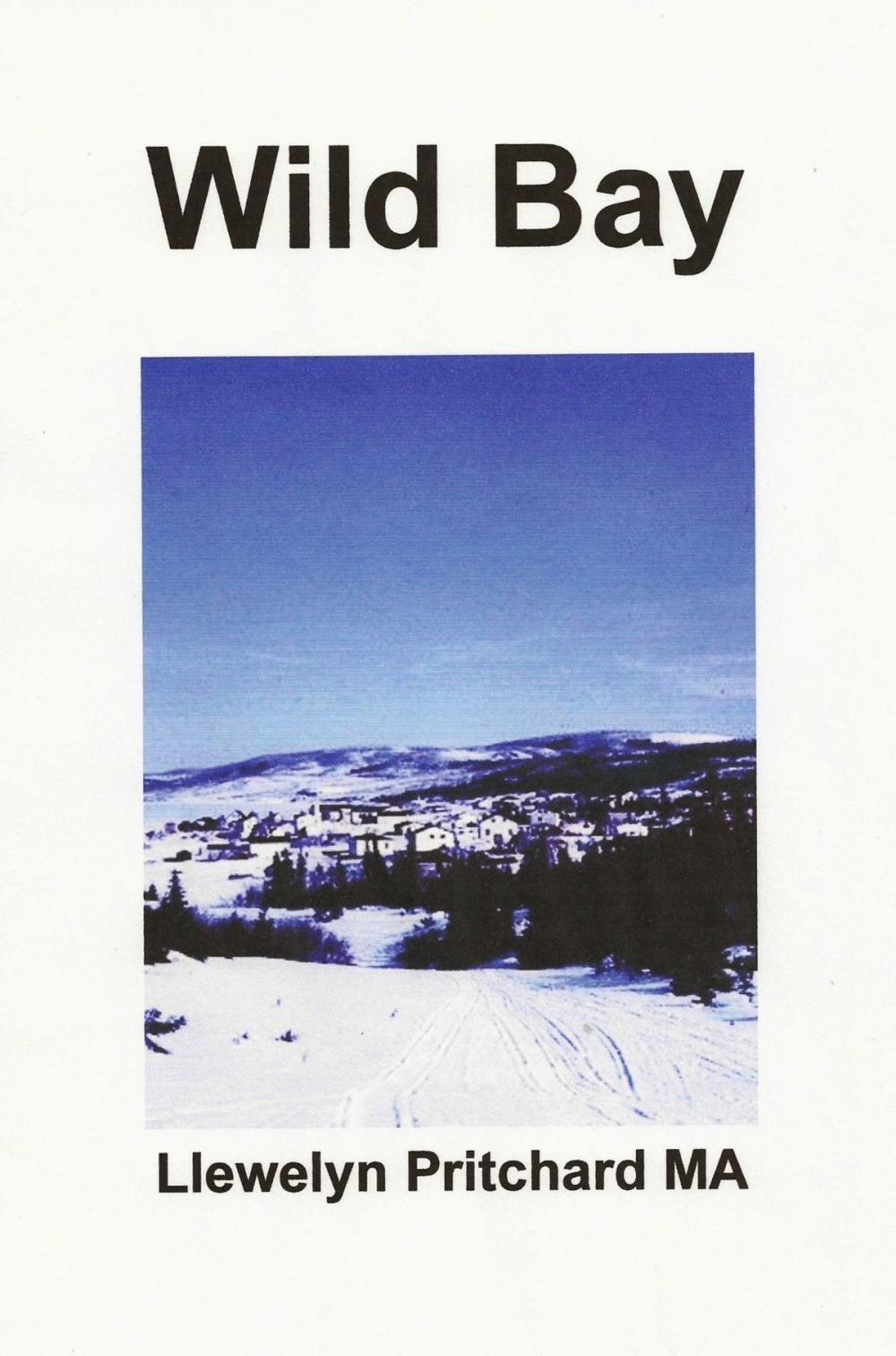 Big bigCover of Wild Bay