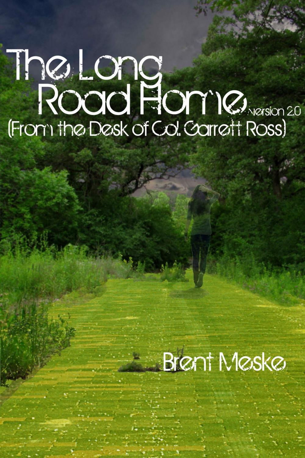 Big bigCover of The Long Road Home (From the Desk of Col. Garrett Ross)