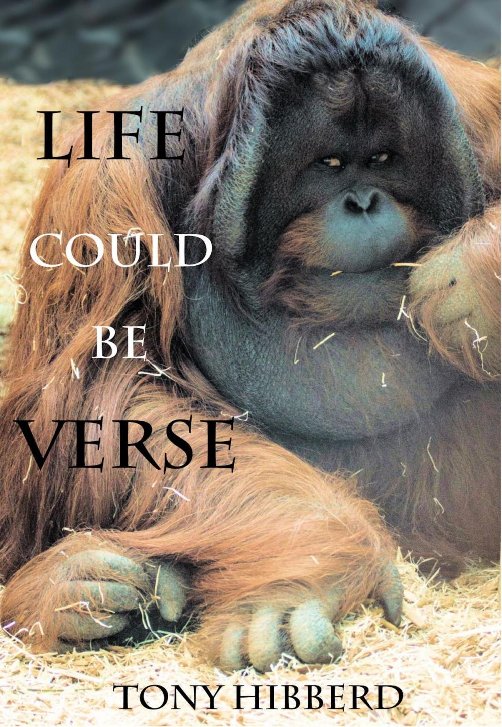 Big bigCover of Life Could be Verse