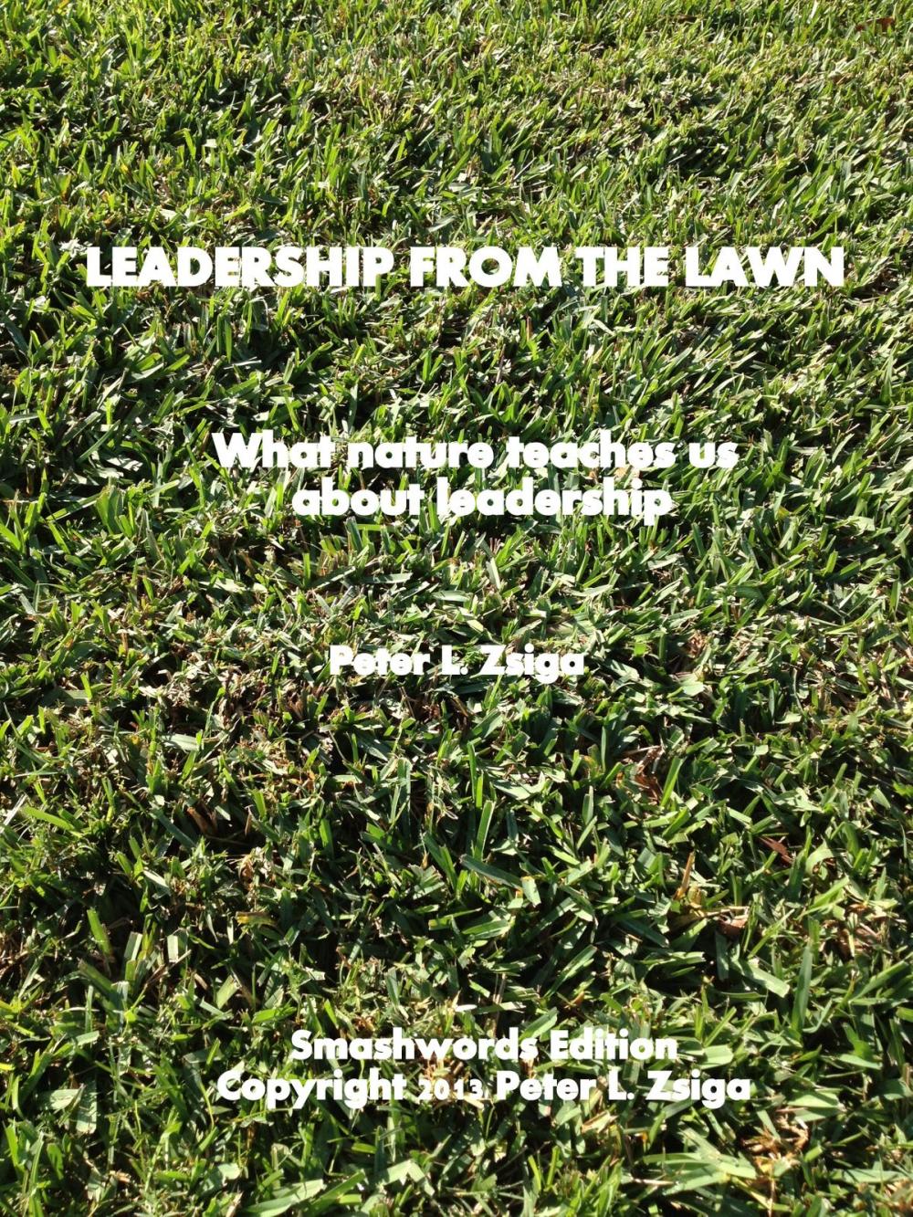 Big bigCover of Leadership from the Lawn