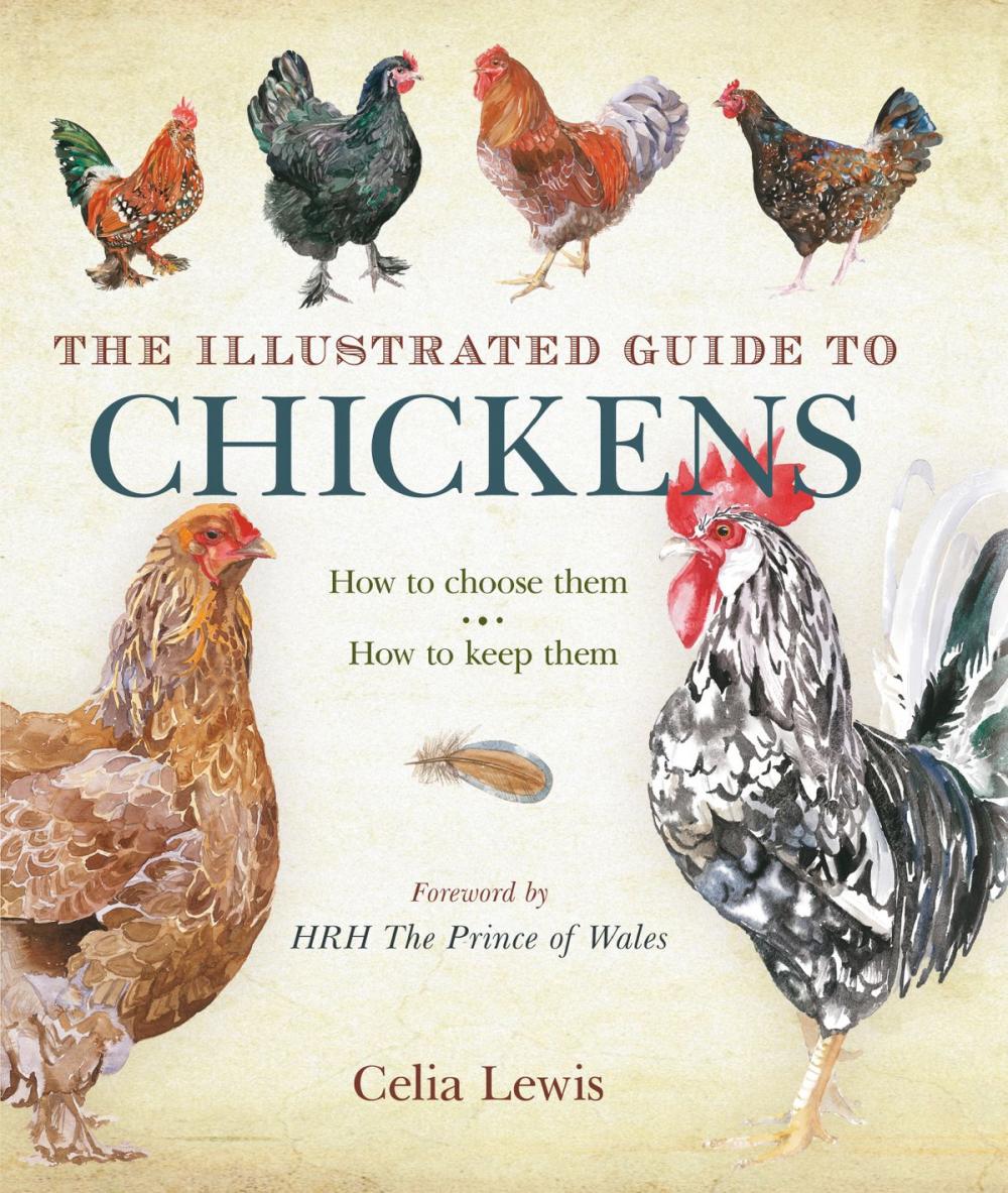 Big bigCover of The Illustrated Guide to Chickens