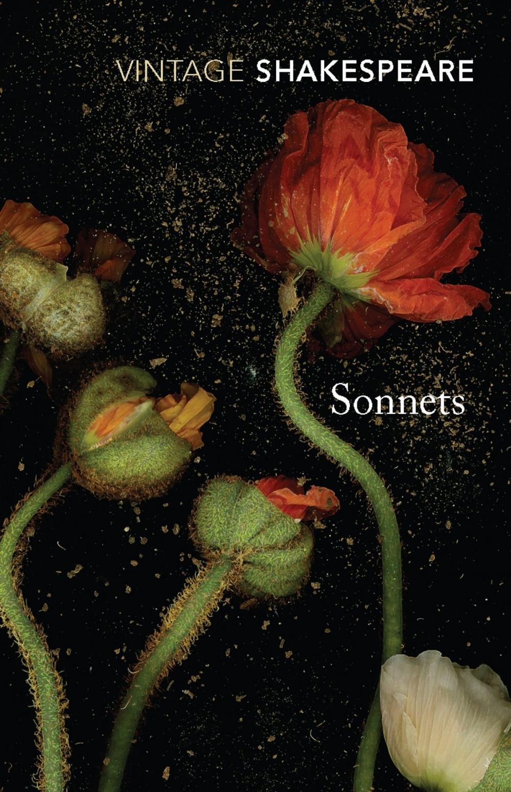 Big bigCover of Sonnets