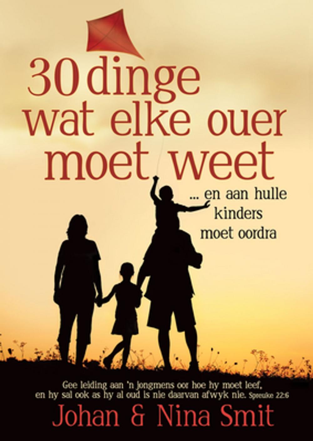 Big bigCover of 30 dinge wat elke ouer moet weet (eBoek)