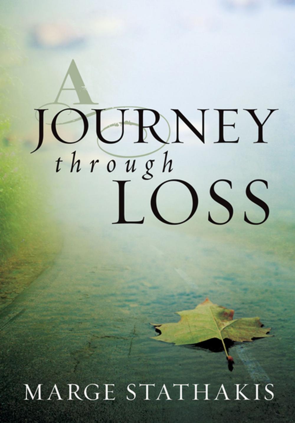 Big bigCover of A Journey through Loss (eBook)