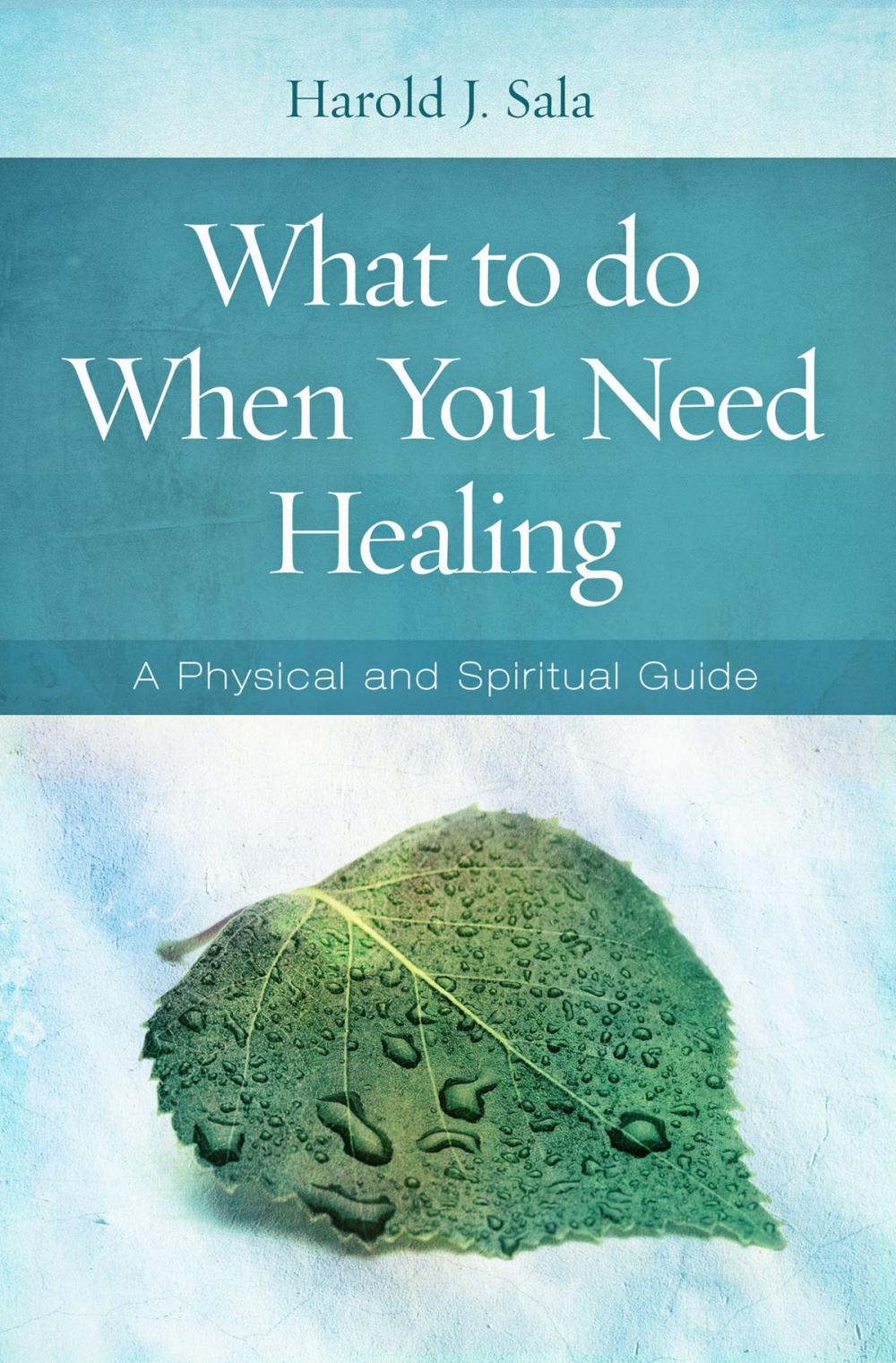 Big bigCover of What to Do When You Need Healing