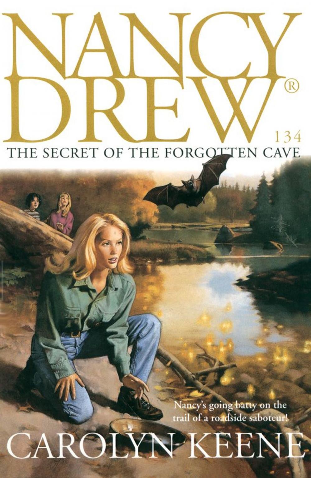 Big bigCover of The Secret of the Forgotten Cave