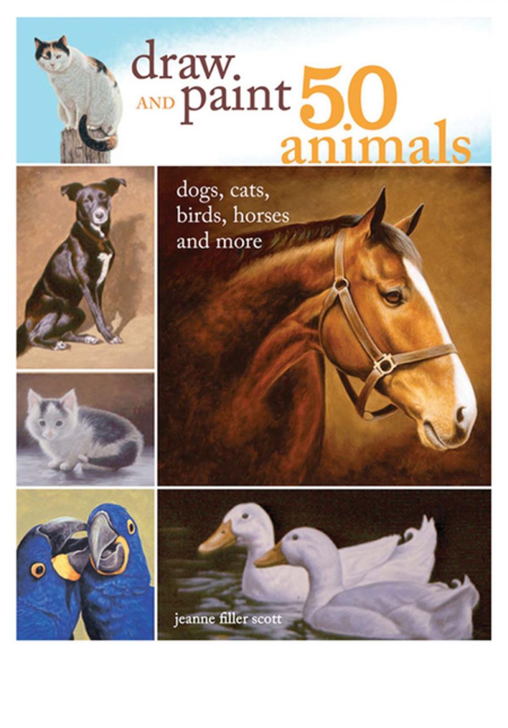 Big bigCover of Draw and Paint 50 Animals