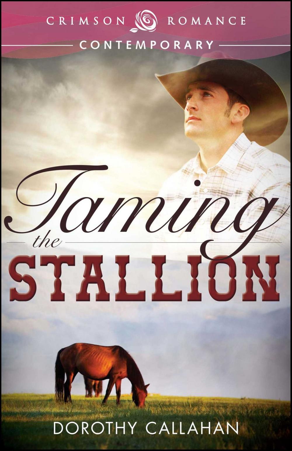 Big bigCover of Taming the Stallion