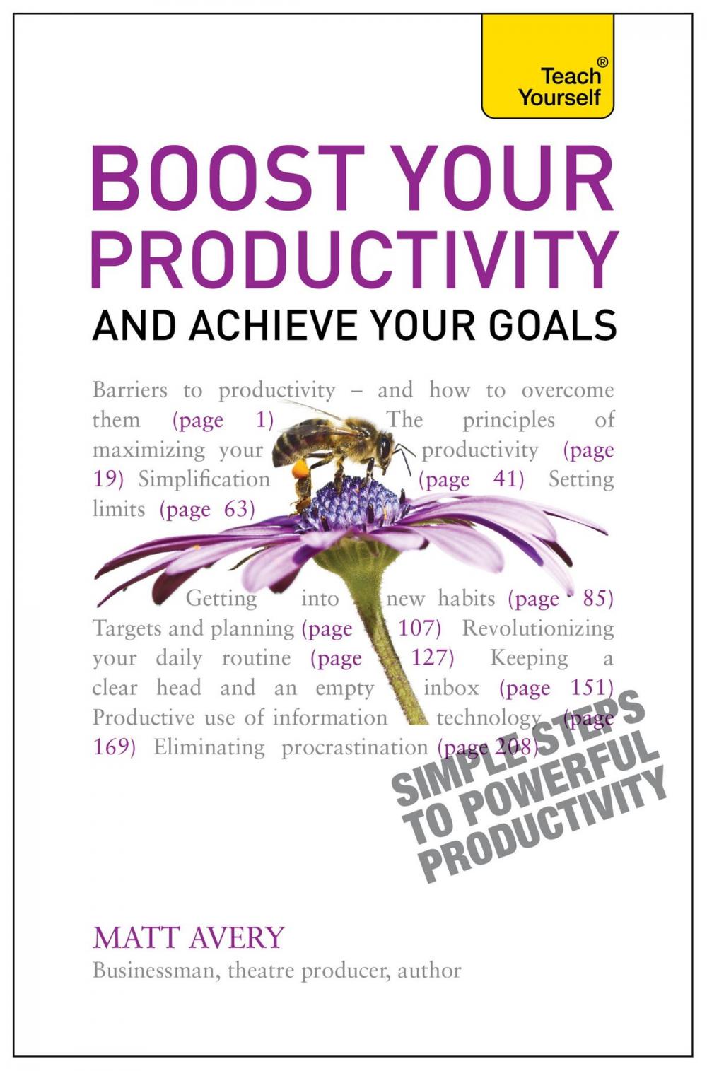 Big bigCover of Boost Your Productivity and Achieve Your Goals: Teach Yourself Ebook Epub