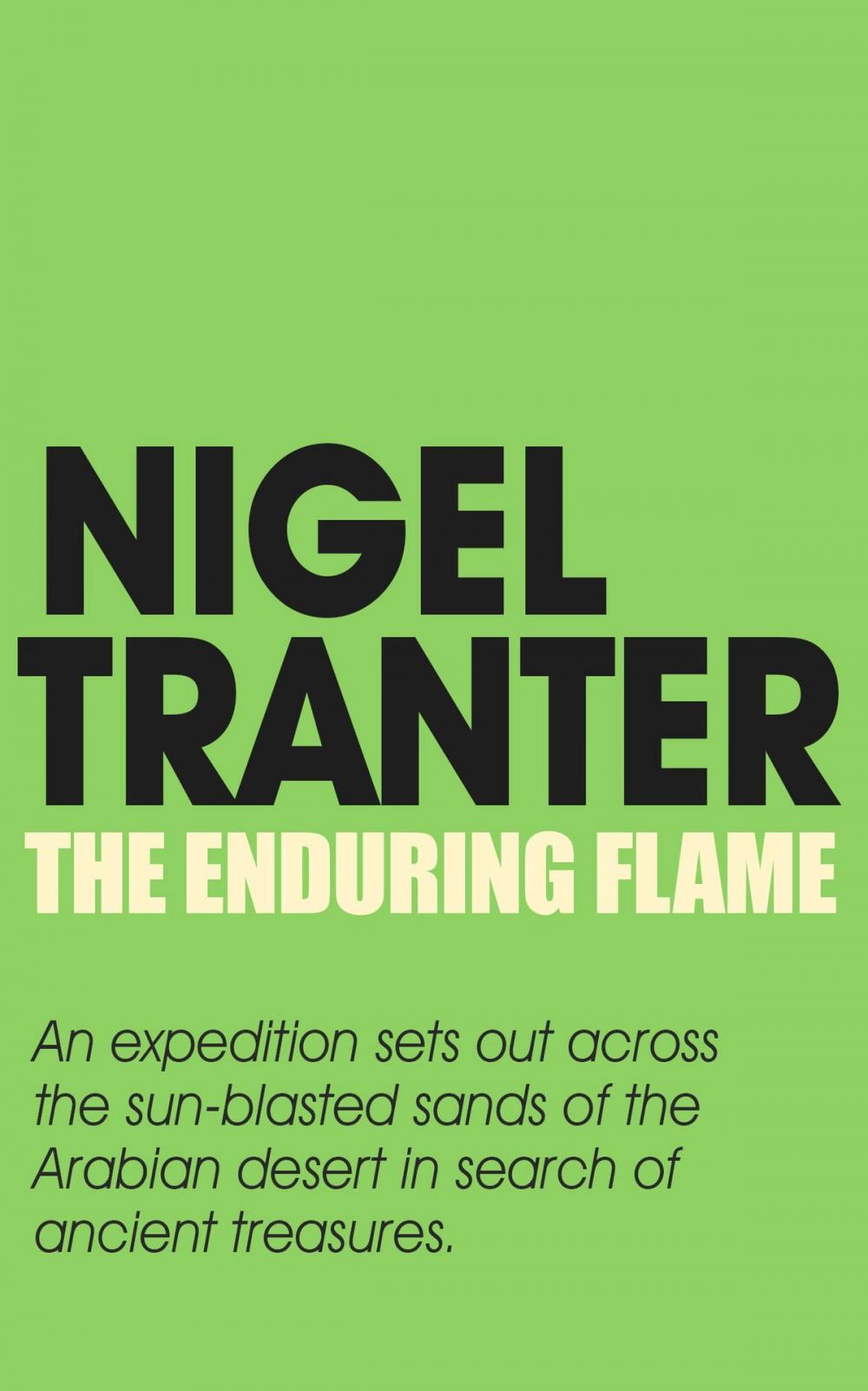 Big bigCover of The Enduring Flame