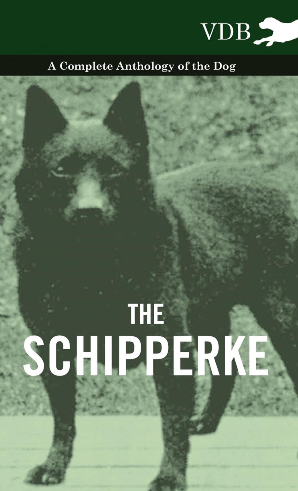 Big bigCover of The Schipperke - A Complete Anthology of the Dog