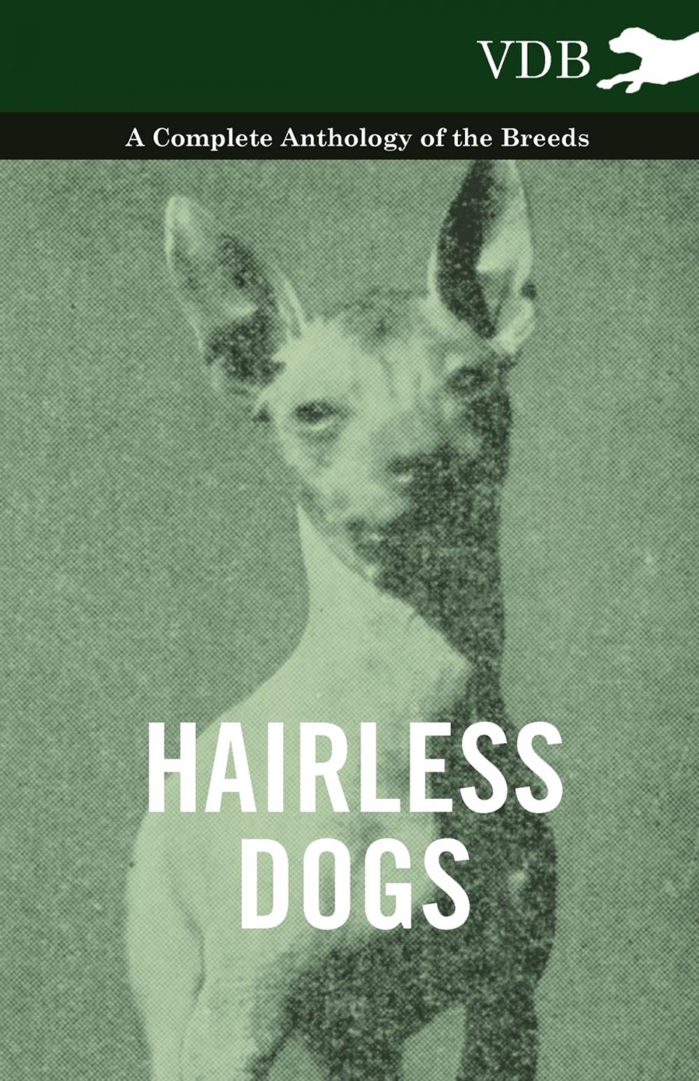 Big bigCover of Hairless Dogs - A Complete Anthology of the Breeds