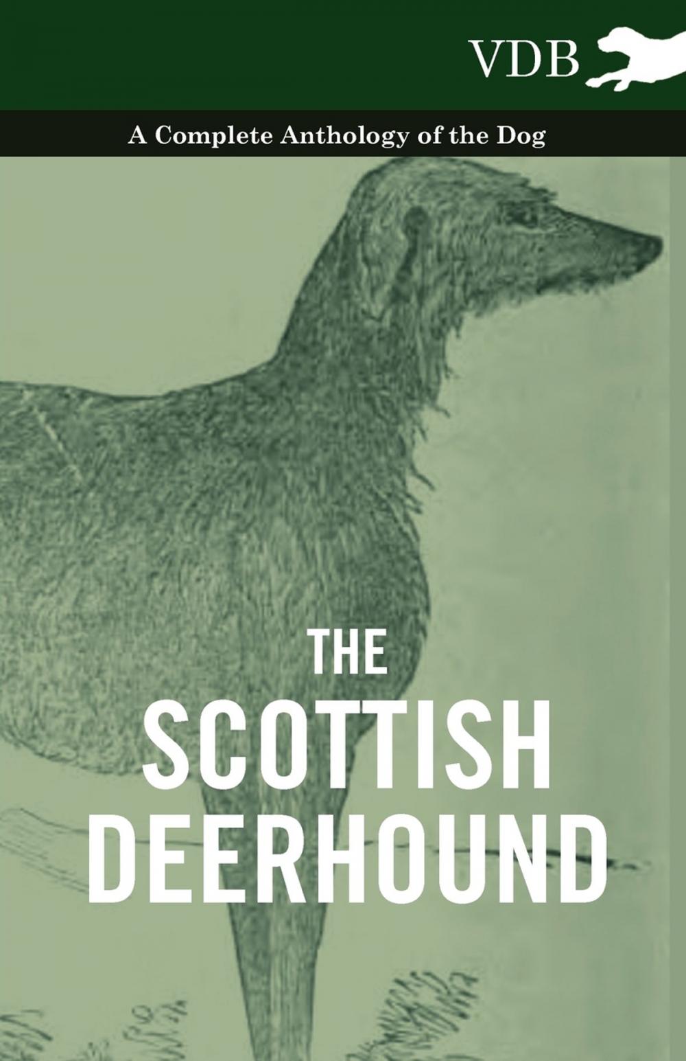 Big bigCover of The Scottish Deerhound - A Complete Anthology of the Dog