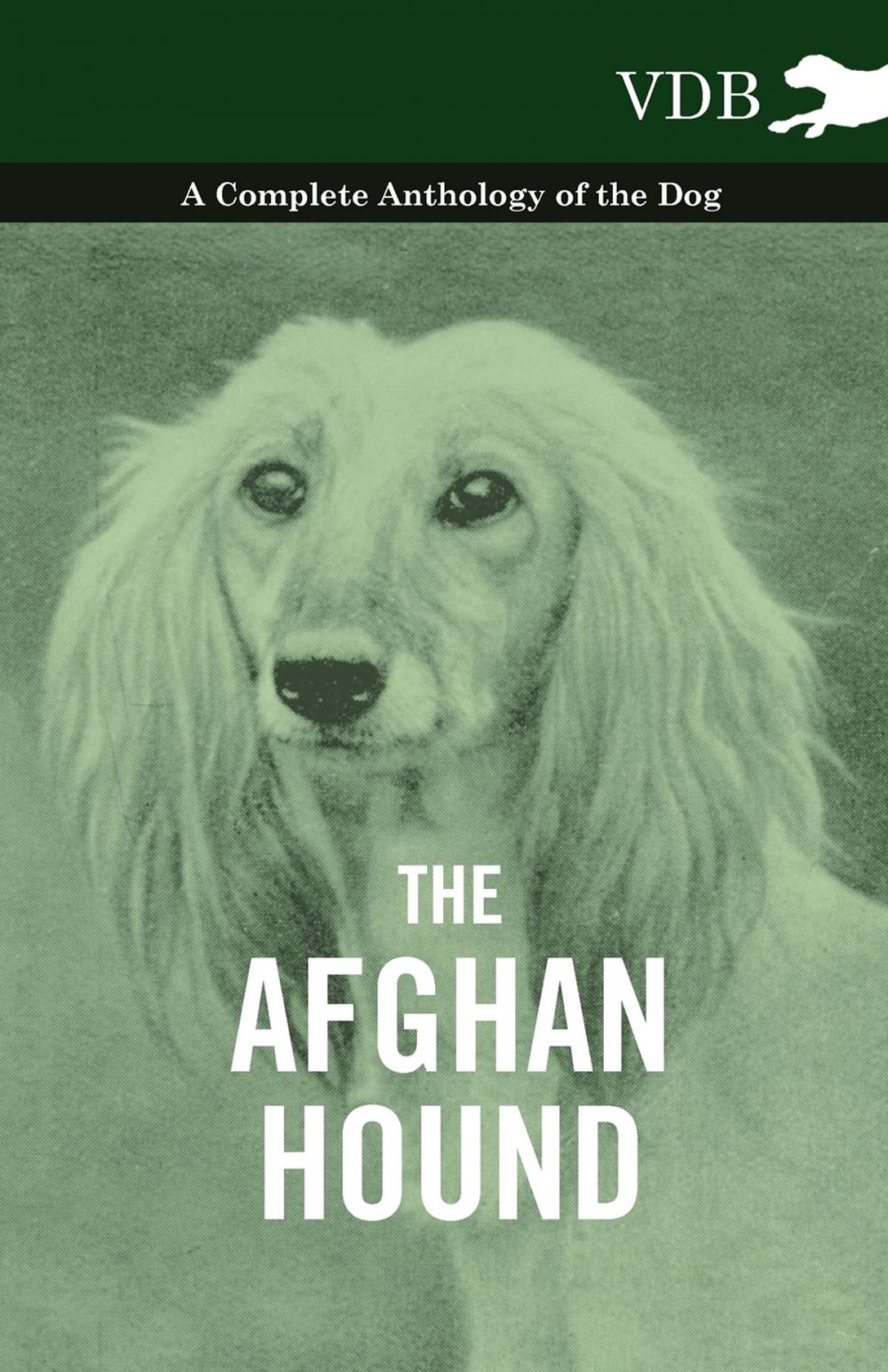 Big bigCover of The Afghan Hound - A Complete Anthology of the Dog -