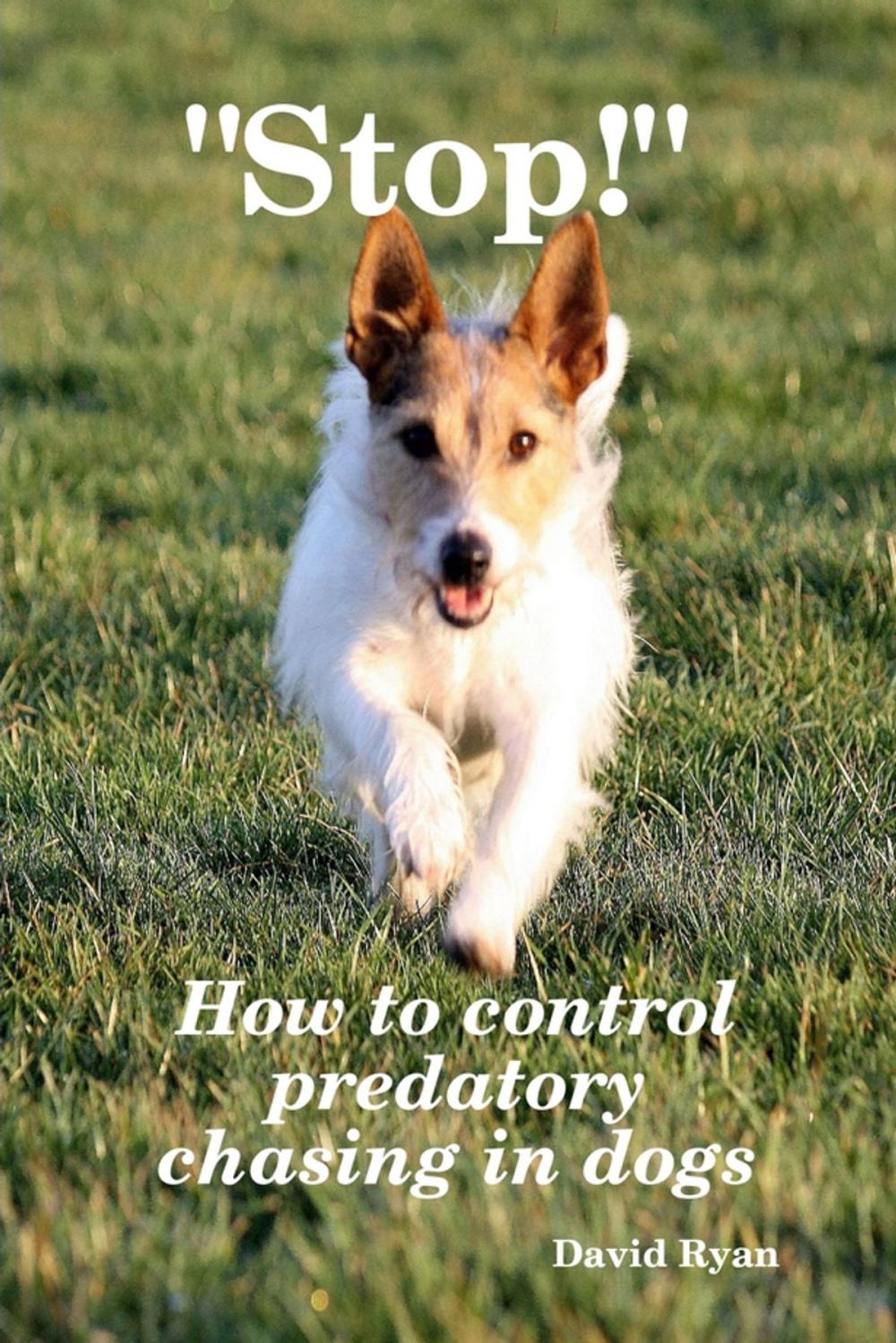 Big bigCover of "Stop!": How to Control Predatory Chasing in Dogs