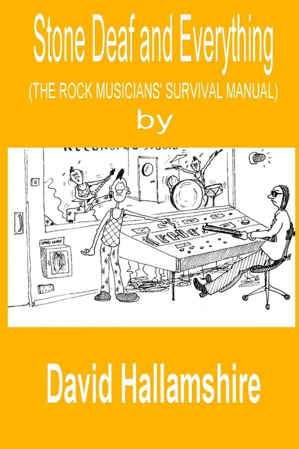 Big bigCover of Stone Deaf and Everything: The Rock Musician's Survival Manual