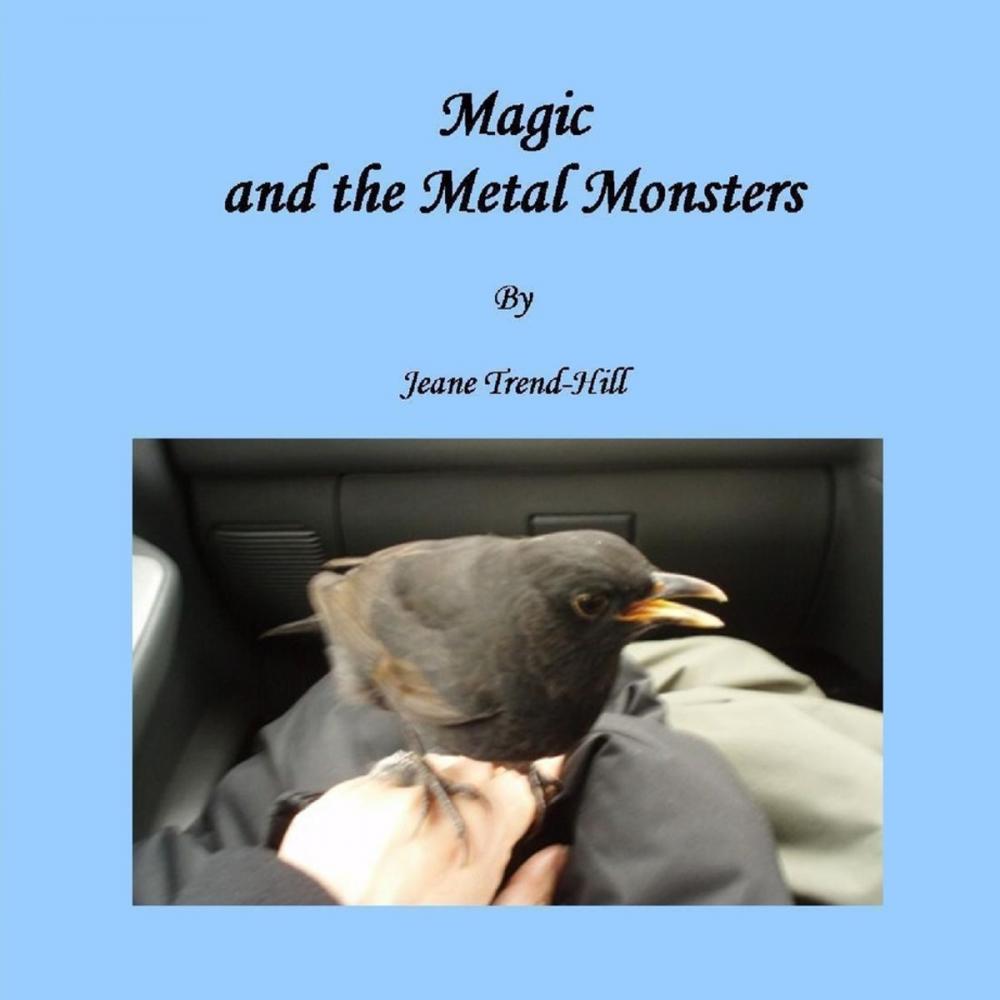 Big bigCover of Magic and the Metal Monsters